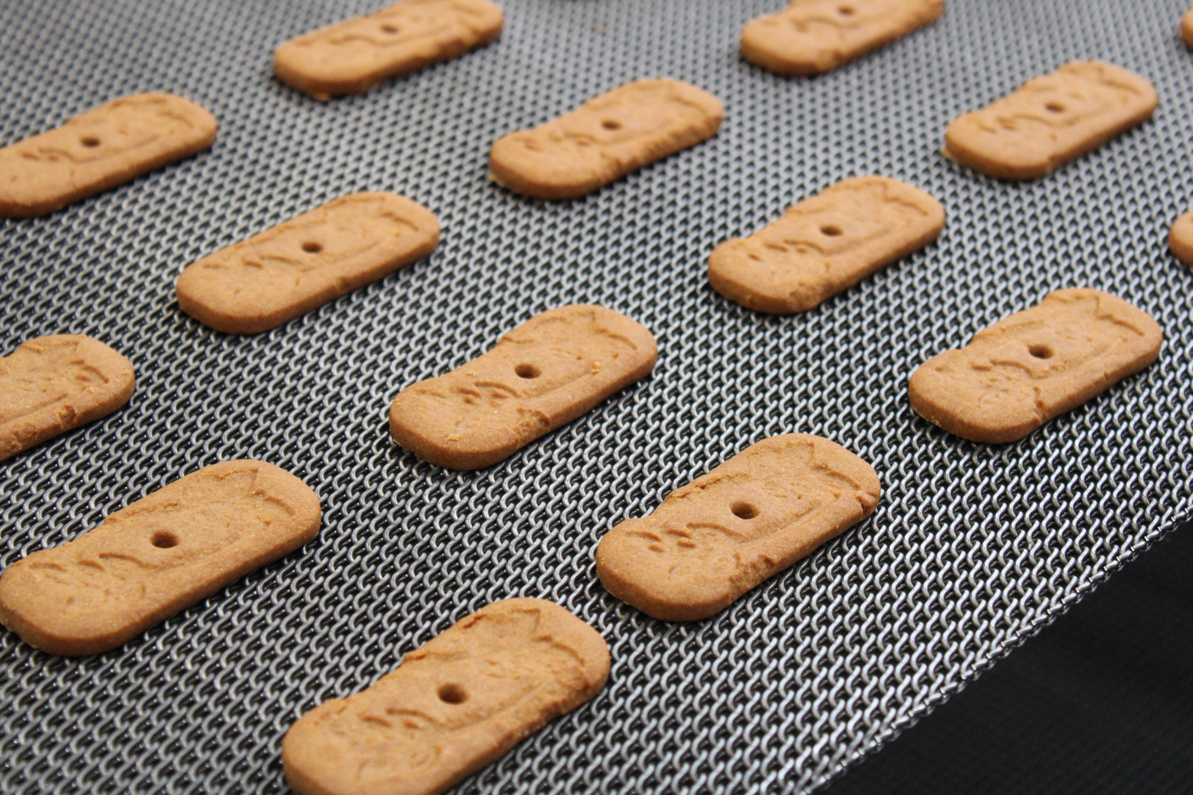 Z-Baking Belt | Ashworth Conveyor Belts